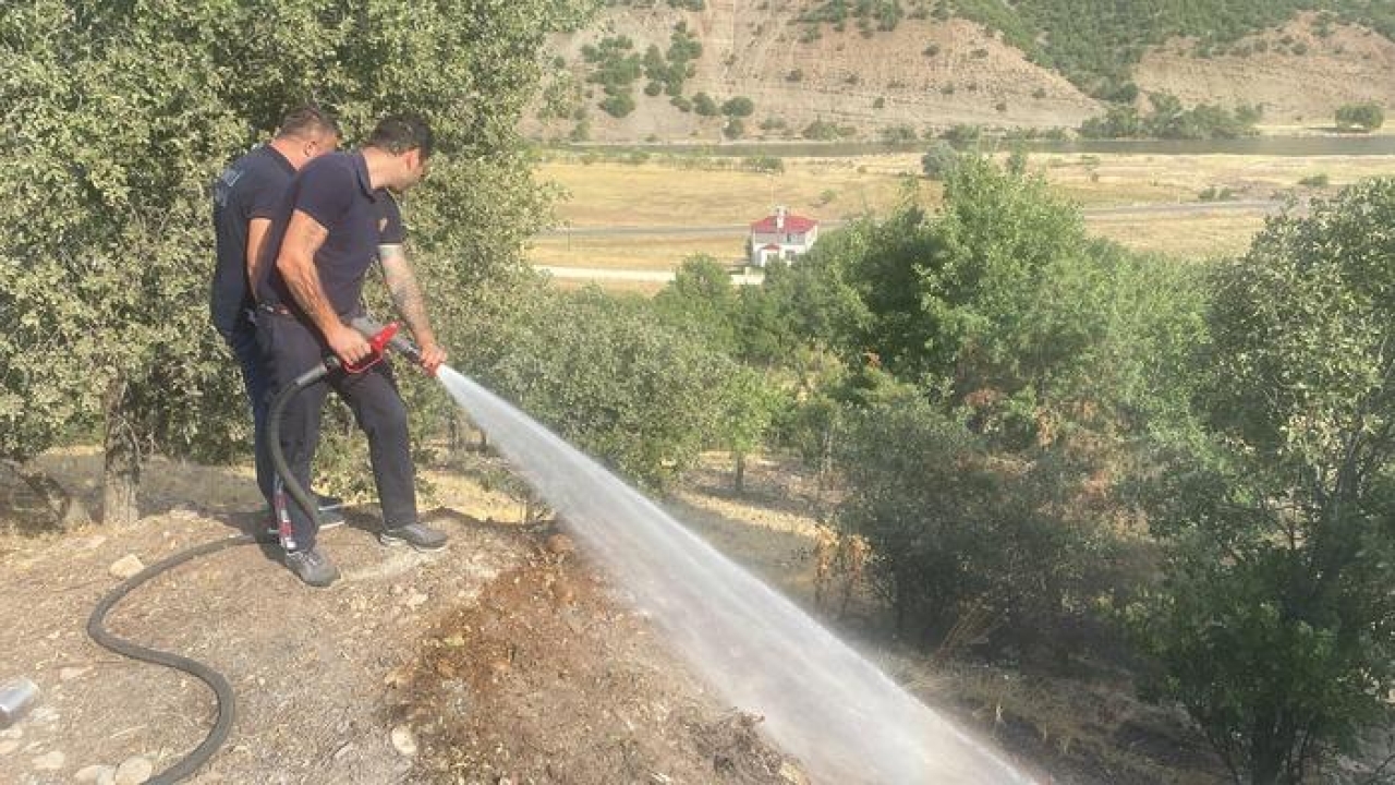 Tunceli'de ormanlık alanda çıkan yangın söndürüldü