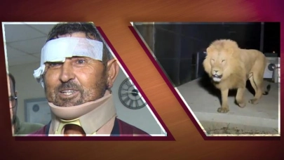 Türkiye'nin konuştuğu adam taburcu oldu! Aslanla mücadelesini anlattı: "En son boğazıma sarıldı, ben de onu gırtlakladım"