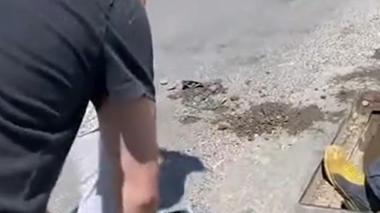 Yalova’da anne kedi ve dört yavrusu sıkıştıkları yağmur suyu kanalından kurtarıldı