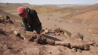 Avustralya'da bulunan fosilin 100 milyon yıllık olduğu doğrulandı