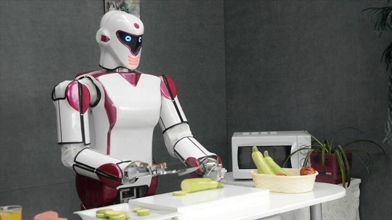 İlk 'insansı' robot! 'Tek beyin-çoklu form' sistemine sahip