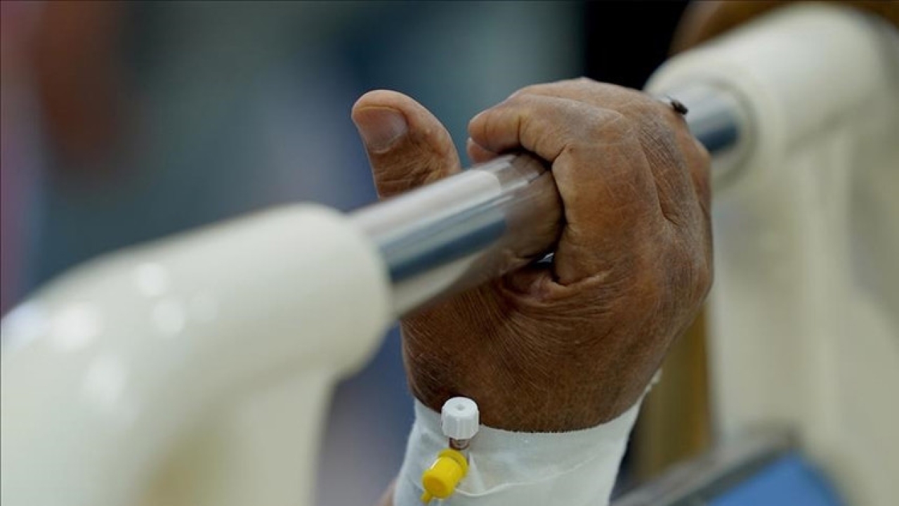 İngiltere'de chikungunya virüsü vakaları hızla artıyor