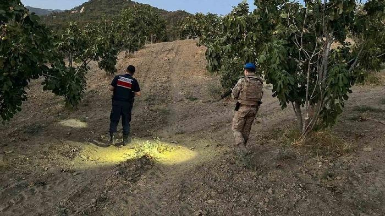 Jandarma incir hırsızlarına geçit vermiyor