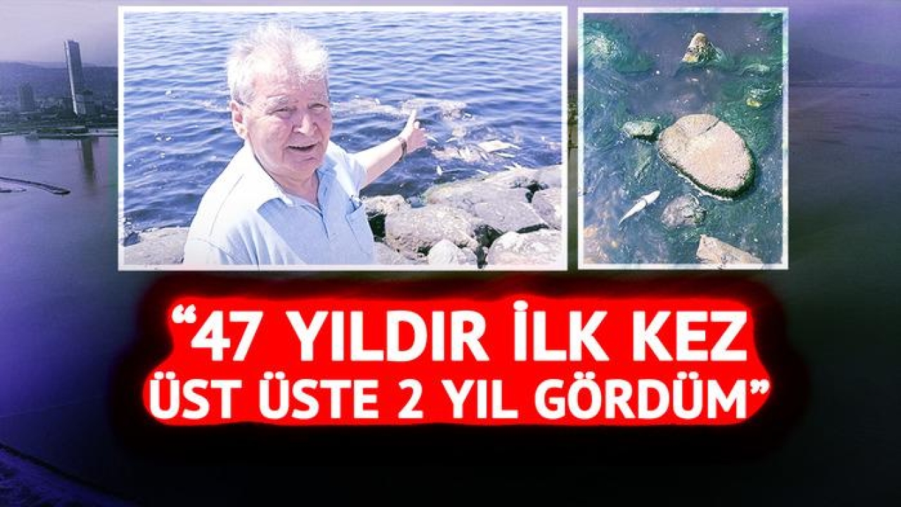 Ölümler yine görülmeye başladı! İzmir'de panik katlandı: "47 yıldır ilk kez üst üste 2 yıl gördüm"