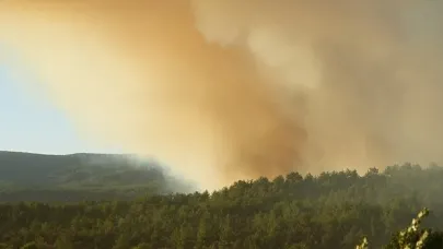 Karabük ve Kastamonu'da korkutan orman yangını