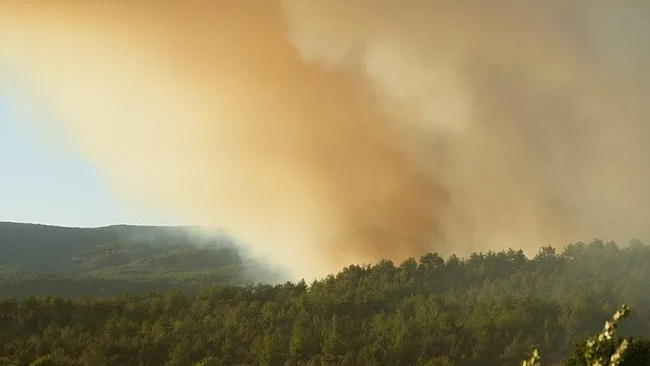 Karabük ve Kastamonu'da korkutan orman yangını