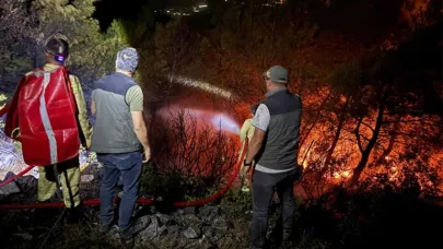 Aydın’ın Söke ilçesinde orman yangınıyla mücadele 10 saattir sürüyor