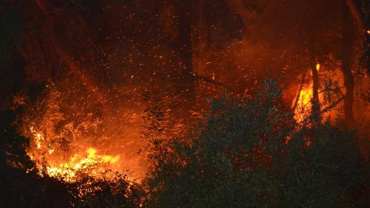 Antalya'da orman yangını çıktı! 1 otel tahliye edildi! Hızla müdahale edildi: Antalya Valisi vatandaşları uyardı...