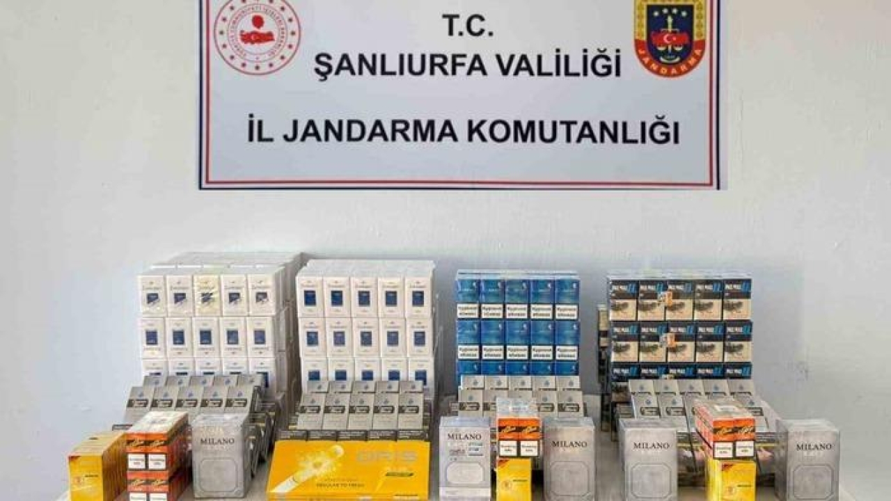 Şanlıurfa’da bin 240 kaçak paket sigara ele geçirildi