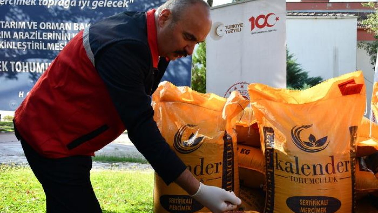 Batman&#039;da çiftçilere 152 ton mercimek tohumu dağıtıldı