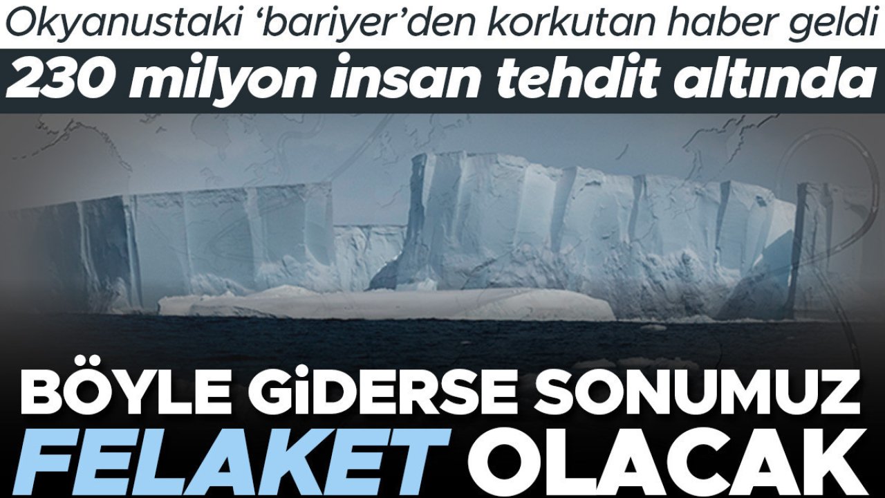 Böyle giderse sonumuz felaket olacak! Okyanusta &#039;bariyer&#039; görevi görüyor: 230 milyon insan tehdit altında...