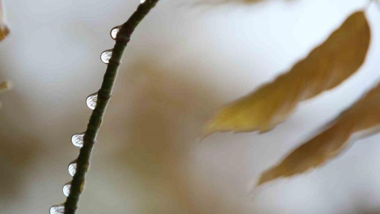 Bursa’da 2 günlük yağışlar ekim ayını kurtardı