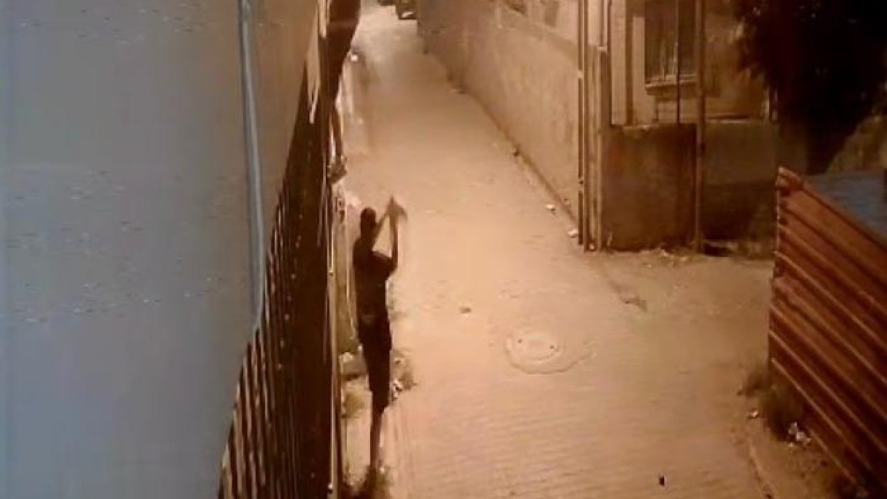 Korkuluklardan tırmanıp, penceredeki kediyi çaldılar