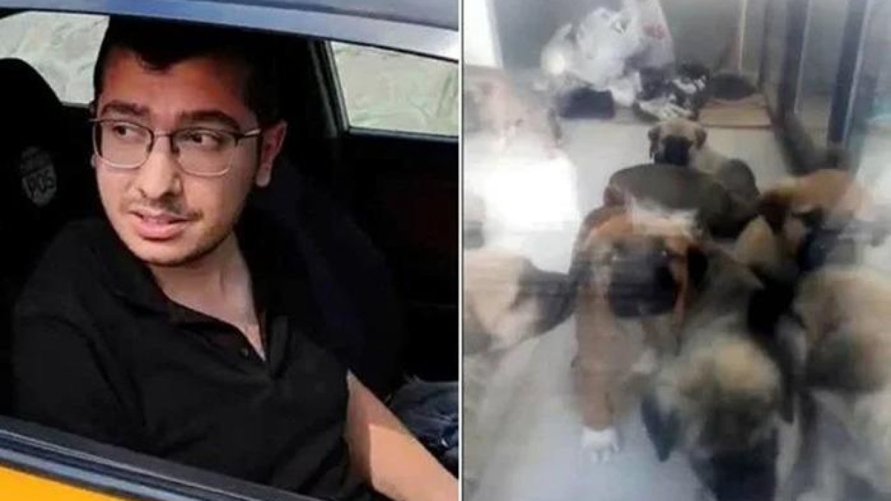 Sahiplendiği köpekleri katleden doktora 9 yıl 9 ay hapis cezası!