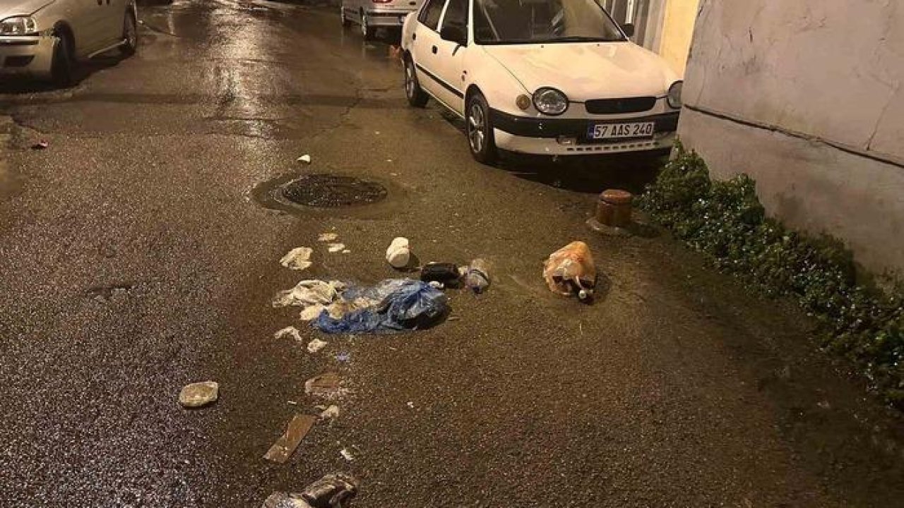 Sinop’ta sokağa bırakılan çöpler tepki çekti