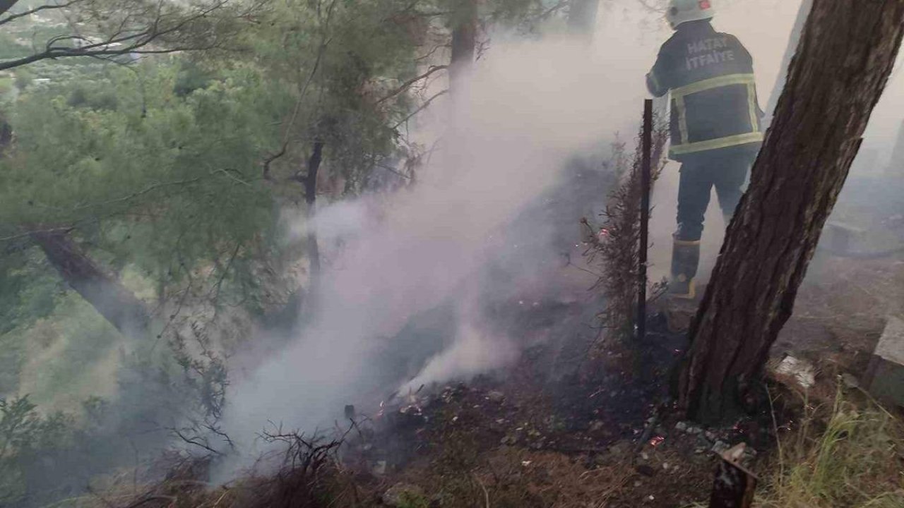 Dörtyol’da ormanlık yangını