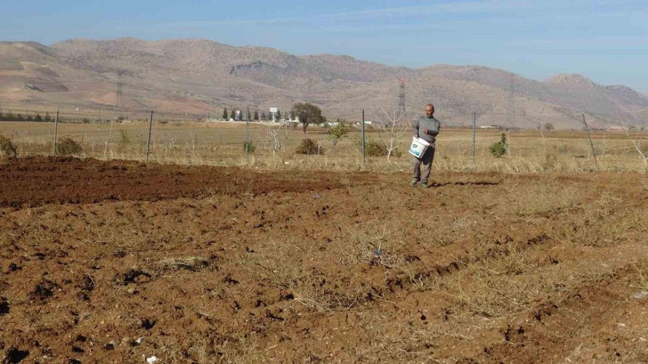 Gercüş’te çiftçiler tohumlarını toprakla buluşturuyor