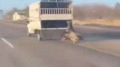 Kamyonetin arkasına bağladığı atı dakikalarca sürükledi; o anlar kamerada