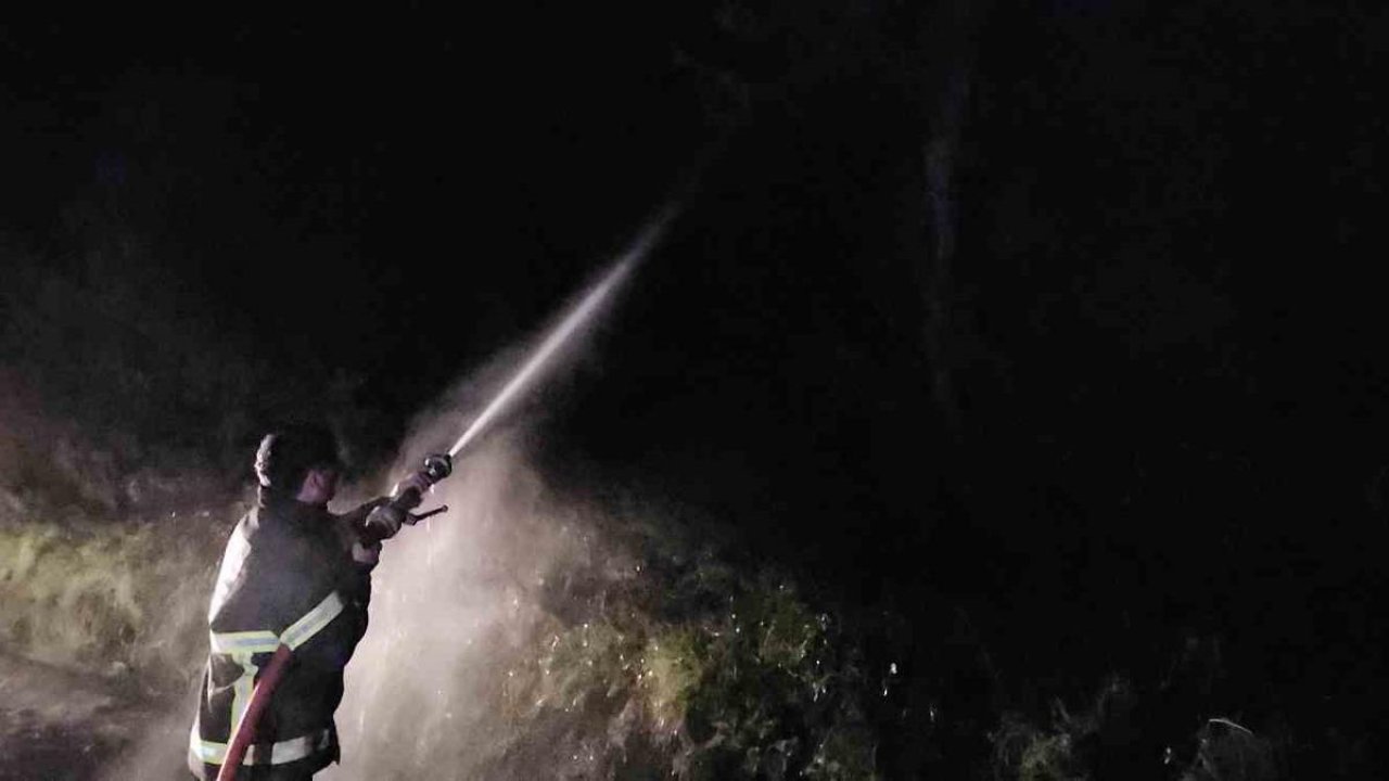 Kastamonu’da çıkan orman yangını söndürüldü