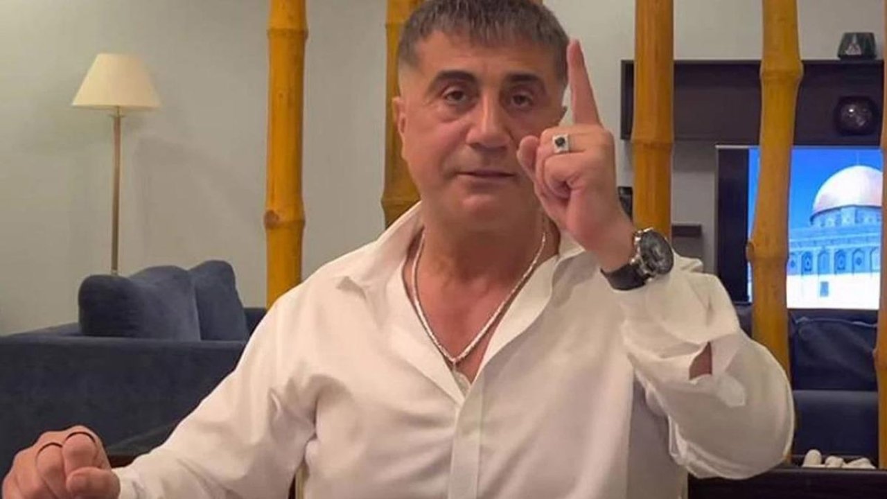 Sedat Peker&#039;den &#039;Rojin Kabaiş&#039; çıkışı! &quot;Öldürüldü&quot; dedi, çağrı yaptı: Katilini söyleyene 25 milyon lira vereceğim