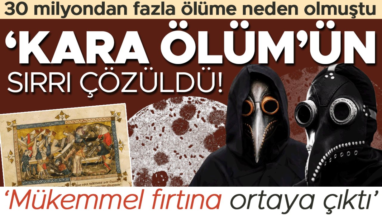 30 milyondan fazla ölüme neden olmuştu: ‘Kara Ölüm’ün sırrı çözüldü! Salgını hızlandıran mükemmel fırtına ortaya çıktı