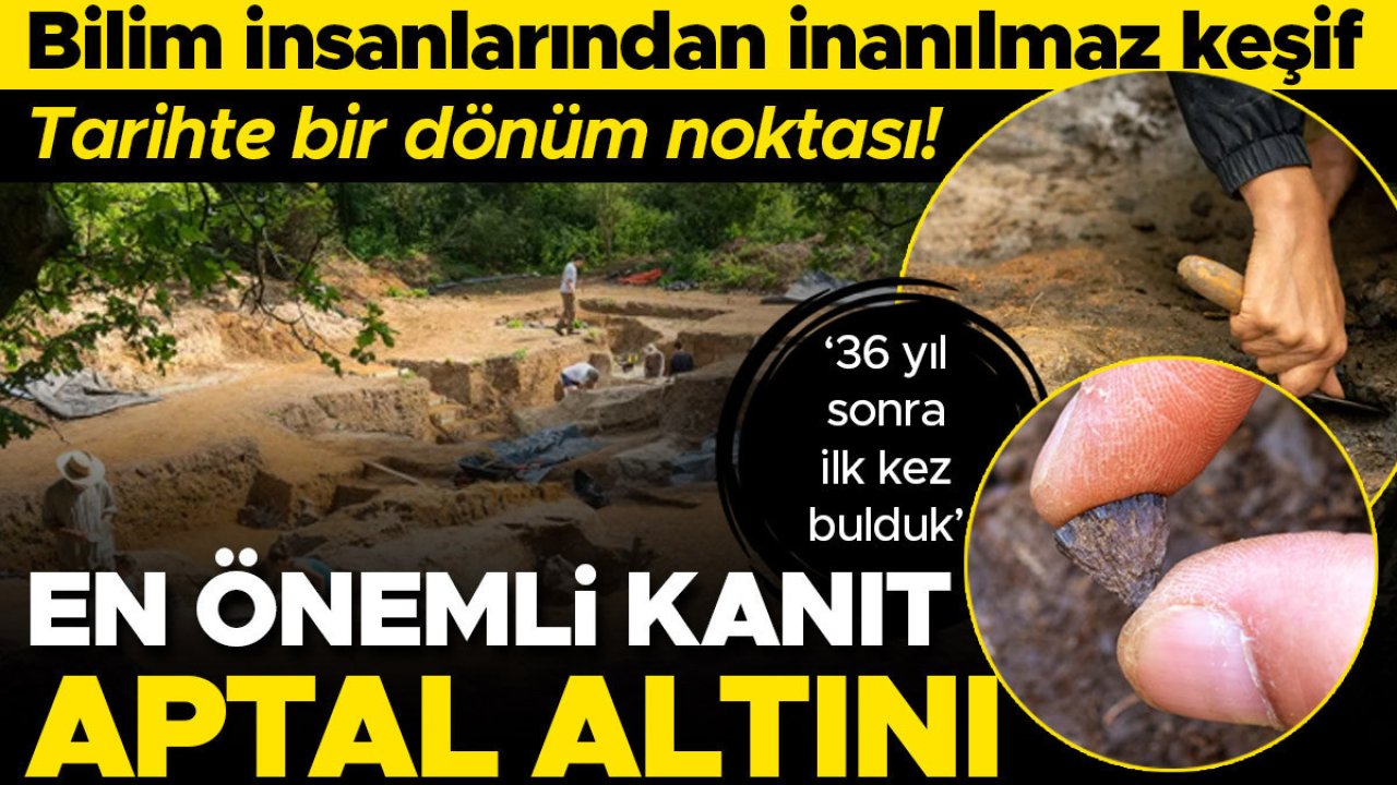 Bilim insanlarından inanılmaz keşif: Tarihte bir dönüm noktası! En önemli kanıt aptal altını | &#039;36 yıldır burada çalışıyoruz, ilk kez bulduk&#039;