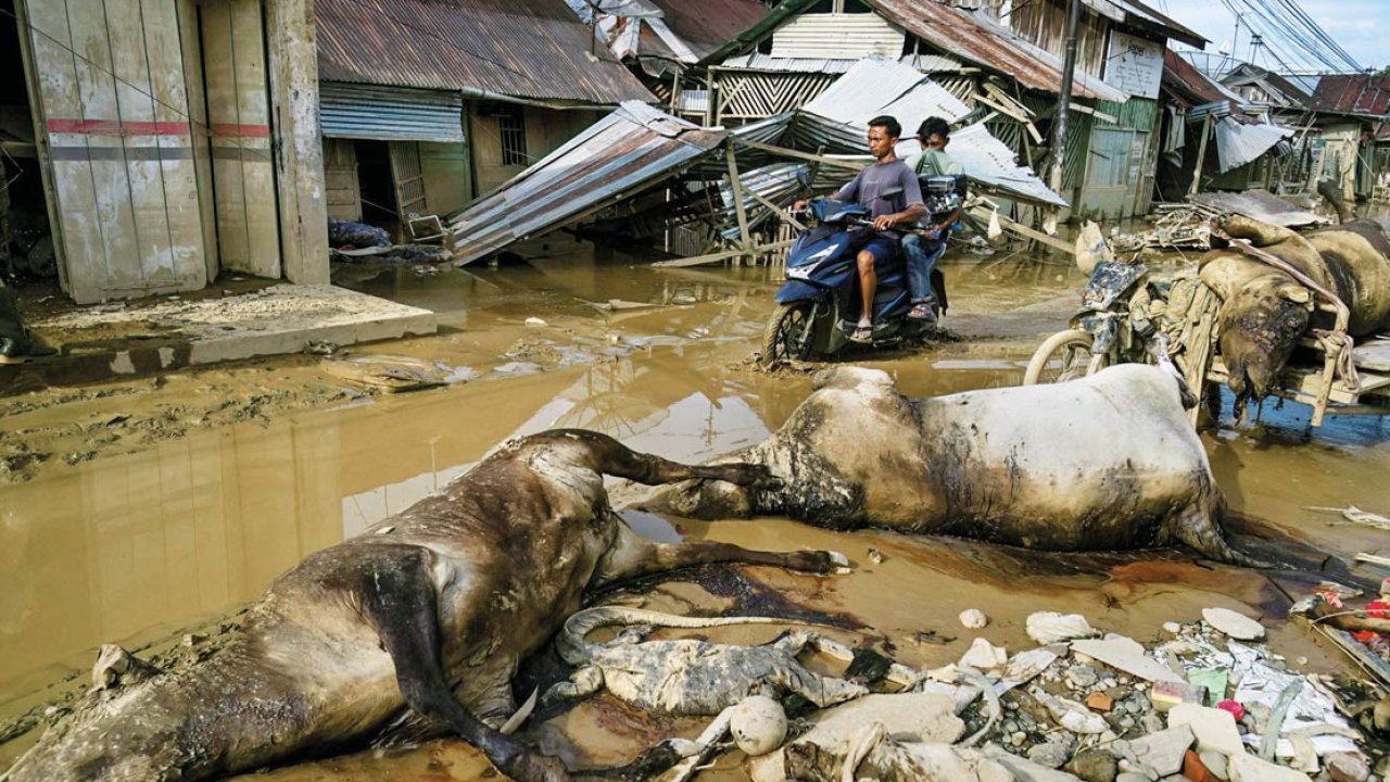 Endonezya’da sel sonrası açlık krizi