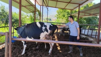 Milas'ta "şap hastalığı" nedeniyle 11 mahalle karantinaya alındı