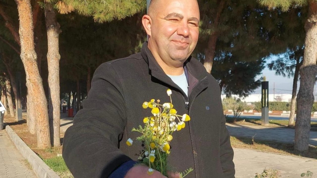 Sarıgöl’de zemheri papatyaları açtı