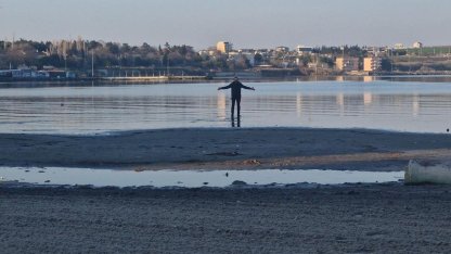 Tekirdağ'da tedirgin eden görüntü! 20 metre çekildi
