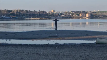 Tekirdağ'da tedirgin eden görüntü! 20 metre çekildi