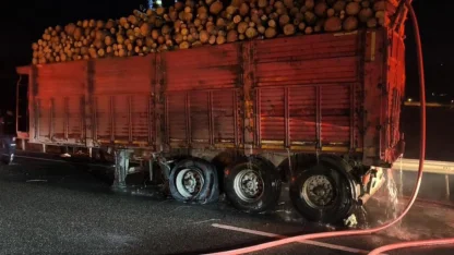Tomruk yüklü TIR’da çıkan yangın büyümeden söndürüldü