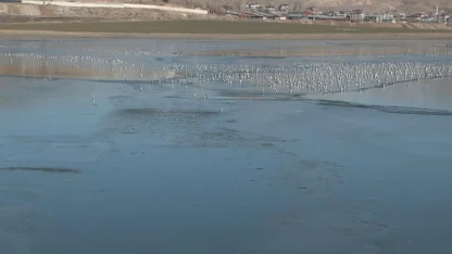 Van'daki Sıhke Gölü'nün yüzeyi kısmen buzla kaplandı