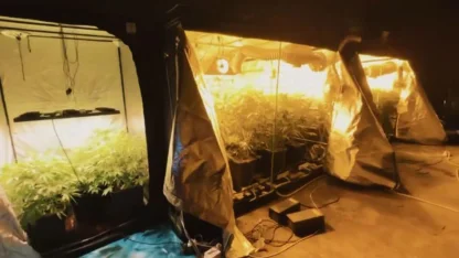 23 ilde uyuşturucu operasyonu! Ali Yerlikaya duyurdu: '6 milyon adet uyuşturucu hap ele geçirdi'