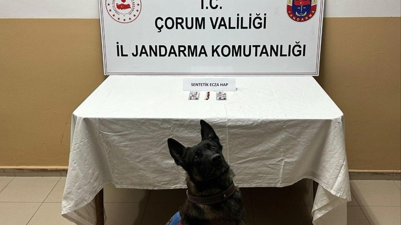 Çorum’da uyuşturucu hapla yakalanan 3 kişi gözaltına alındı