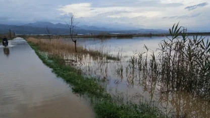 Aydın'da kurutma kanalı taştı, tarım arazileri göle döndü