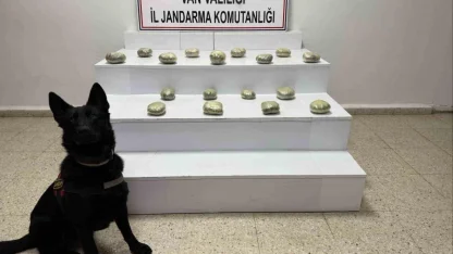 Başkale’de 20 kilo 250 gram toz esrar maddesi ele geçirildi
