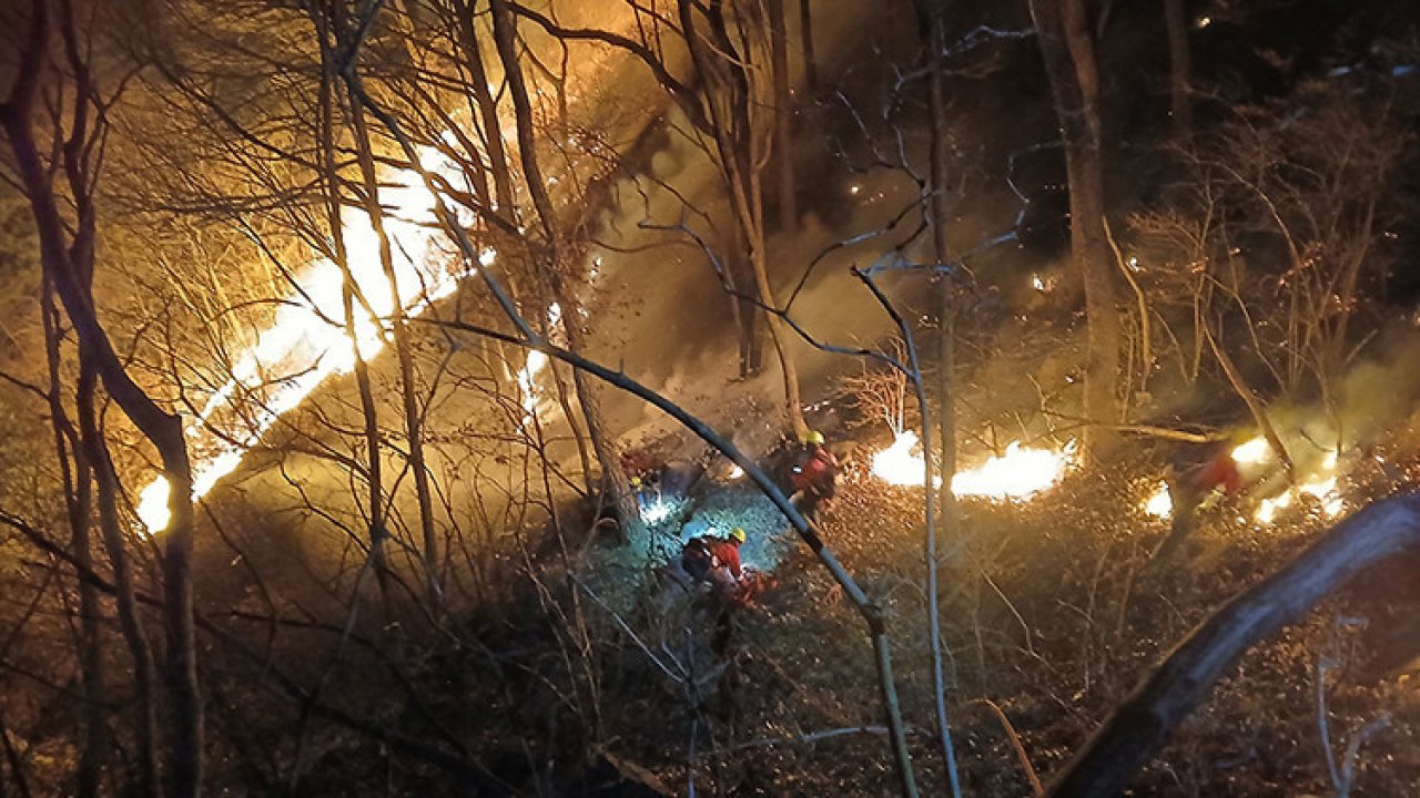 Güney Kore'de orman yangınları kontrolden çıktı: 3 günde 190 hektar küle döndü