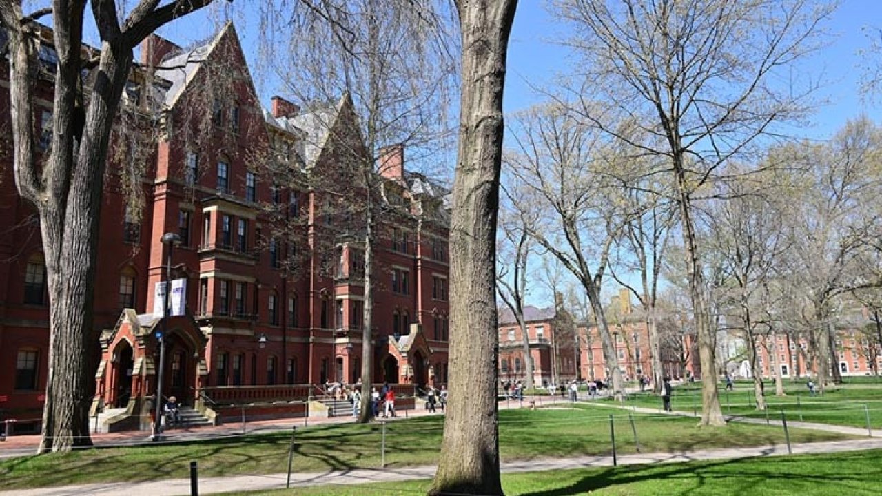 Harvard'da Epstein depremi: Eski ABD Hazine Bakanı Summers'tan istifa