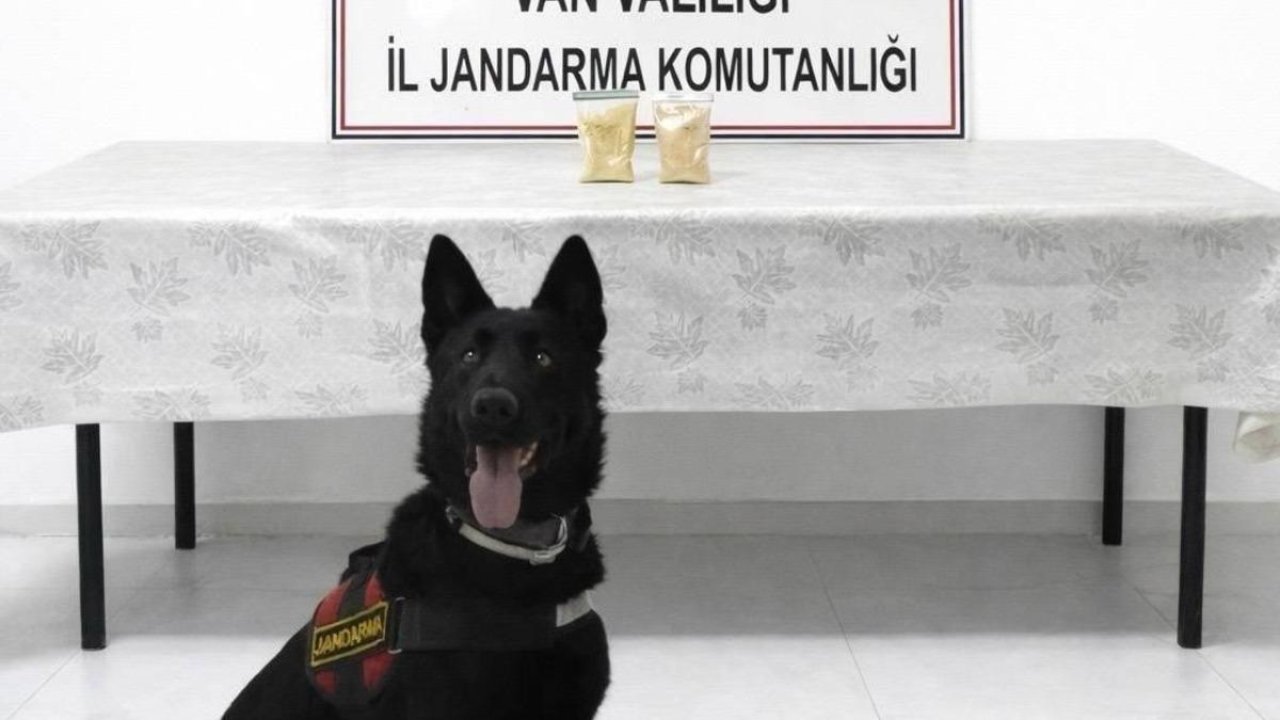 İranlı şahıs Van'da yakalandı! Denetimde üzerinden çıktı