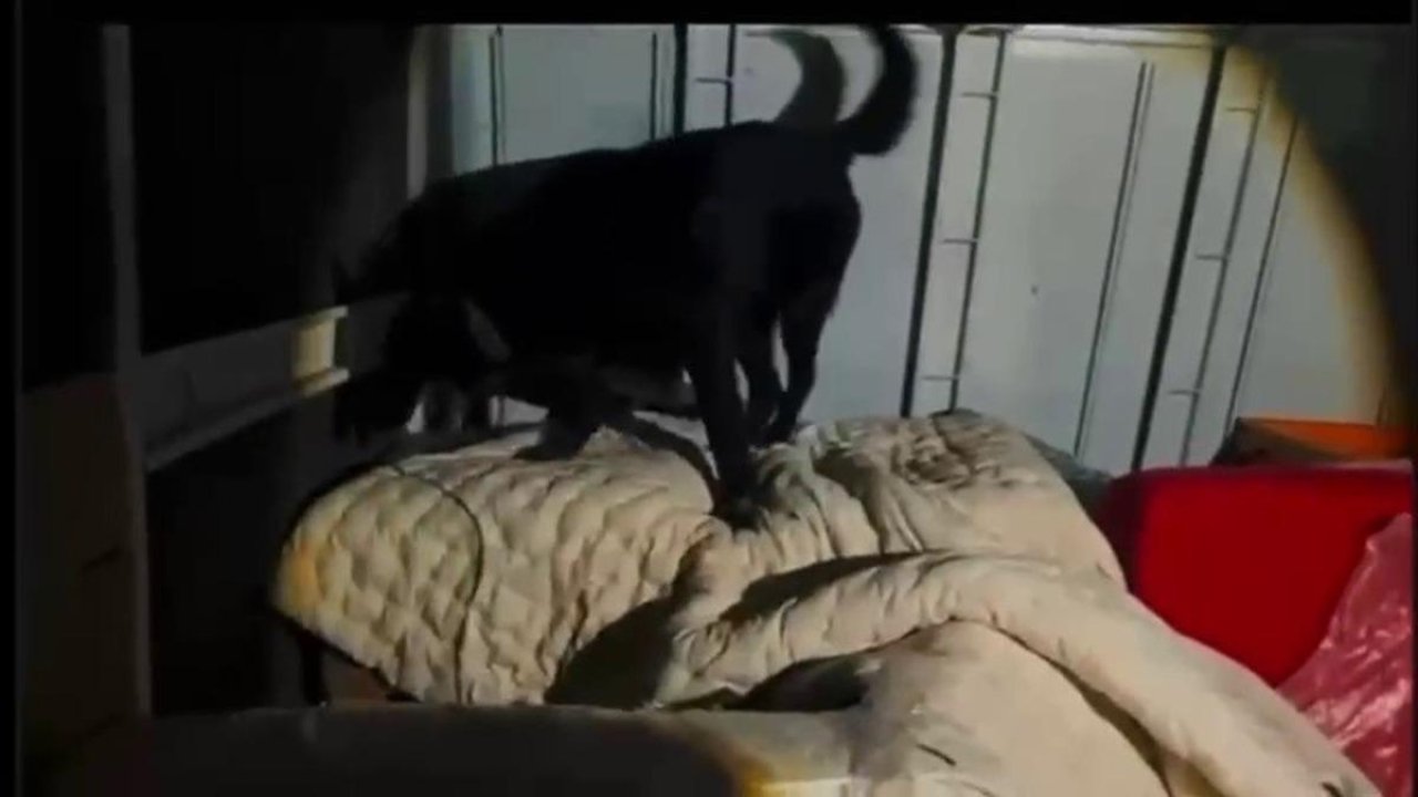 Kamyonet kasasında battaniyeyle saklanan 11 kilo 200 gram uyuşturucu yakalandı