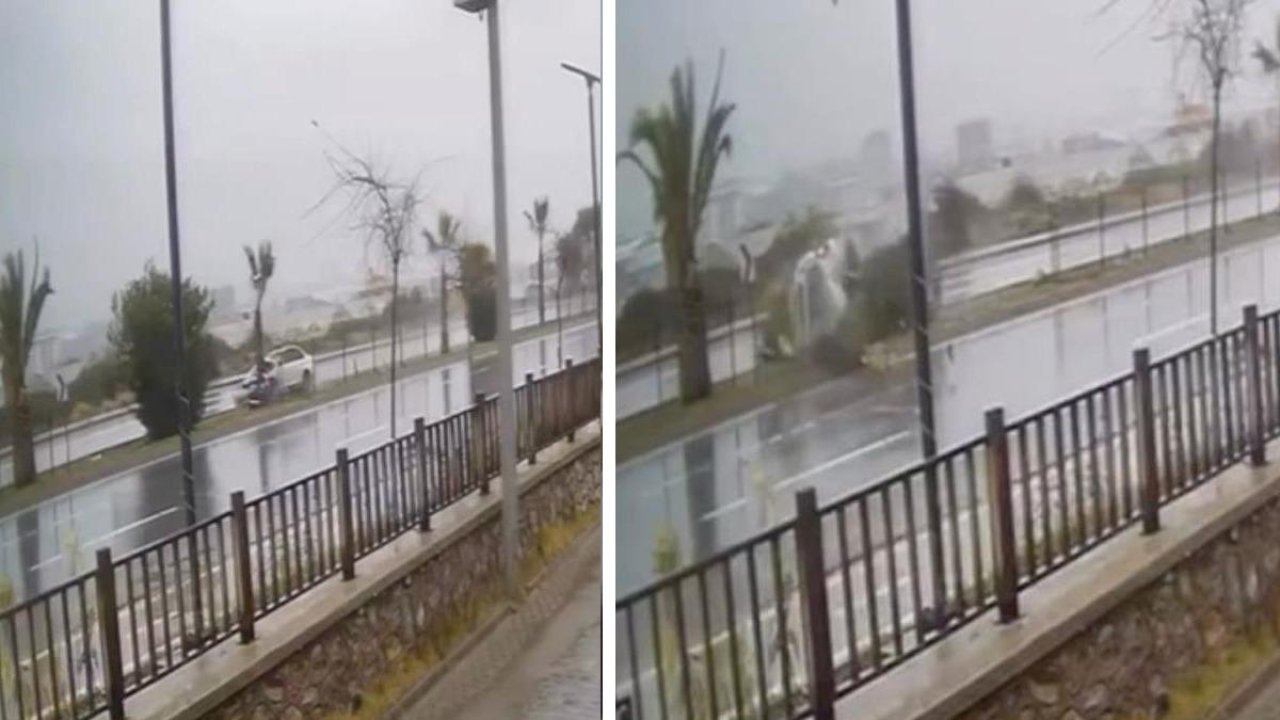 Kontrolden çıkan otomobil refüjdeki ağaca çarpıp takla attı