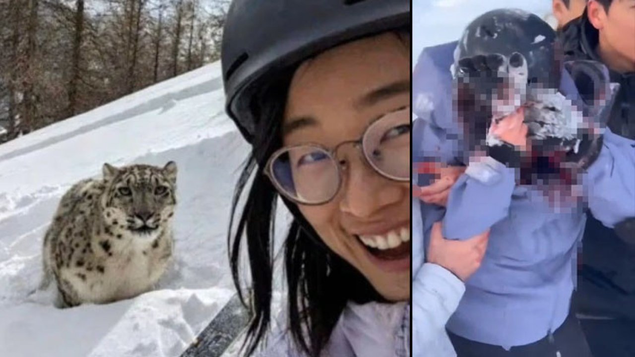 Leoparla selfie sonu oluyordu