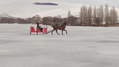 Çıldır Gölü'nde atlı kızak sezonu sona eriyor
