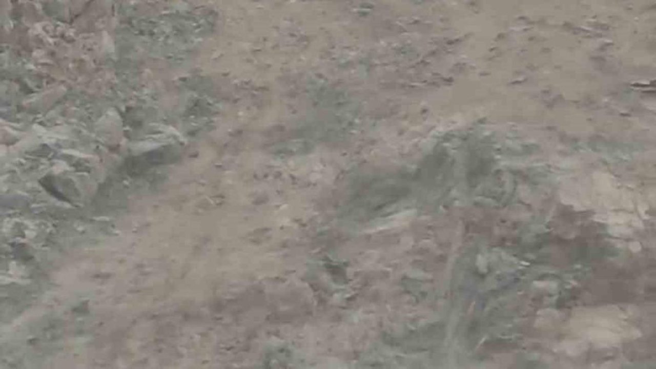 Diyarbakır’da nesli tükenme tehlikesi altında bulunan dağ keçileri sürü halinde görüntülendi