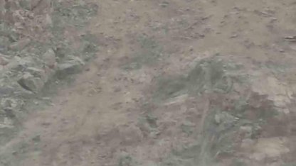 Diyarbakır’da nesli tükenme tehlikesi altında bulunan dağ keçileri sürü halinde görüntülendi