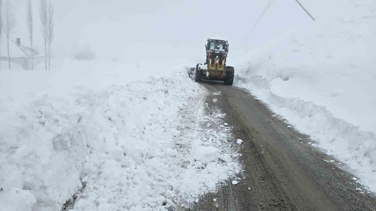 Hakkari’de 61 yerleşim yerinin yolu kapandı