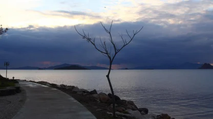İzmir'de korkunç olay! Kayalıkların arasında bebek cesedi bulundu