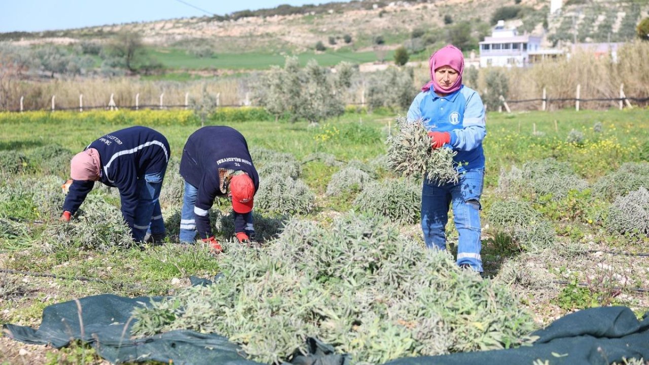 Okul servisine çarpmamak için motosikletten düşüp metrelerce savruldular: O anlar kamerada