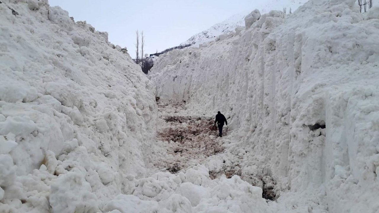 Yüksekova'da çığ meyve bahçelerini yuttu: Köy yolu kar tünelleriyle açılıyor